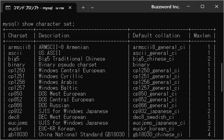 MySQLで設定可能な文字コードの一覧(1)