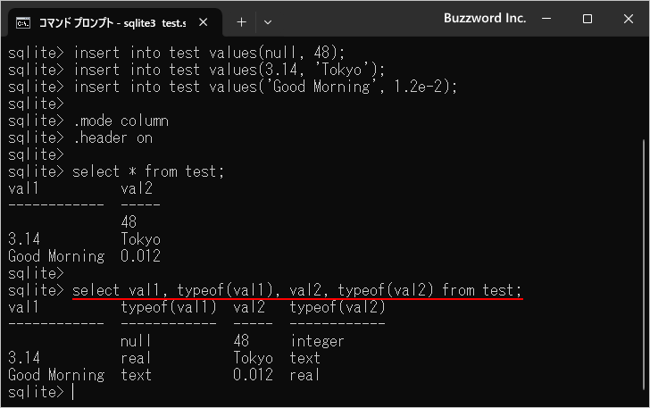 カラムにデータ型を指定しなかった場合(5)